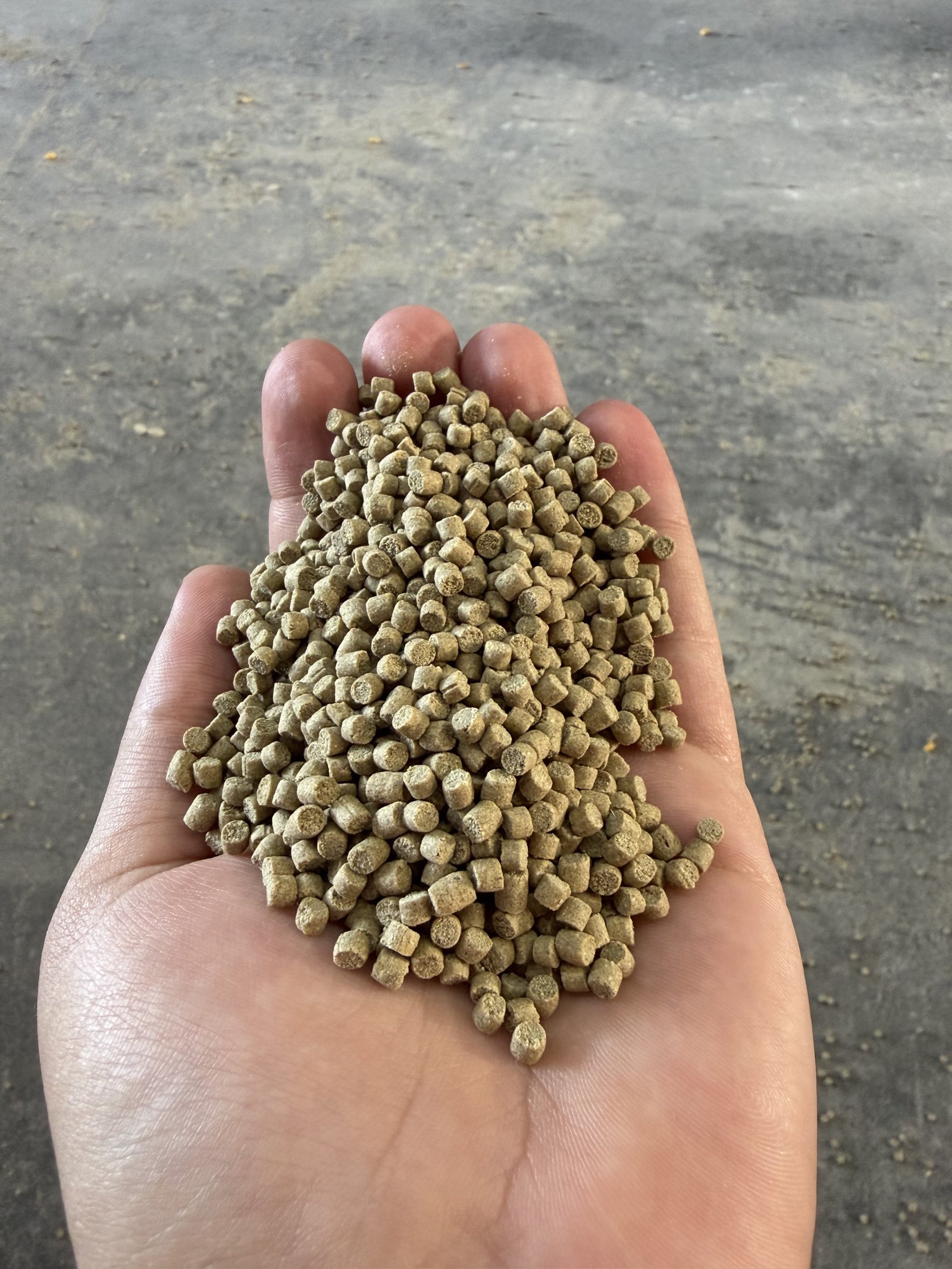 Fish feed pellets